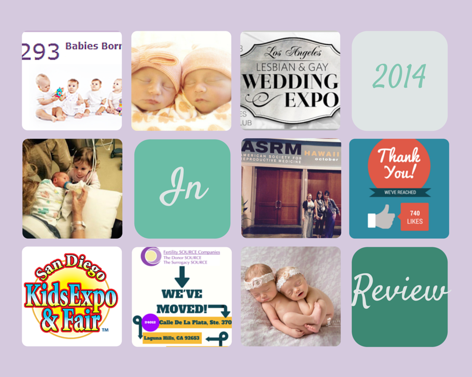 2014: Fertility Source Companies Year In Review