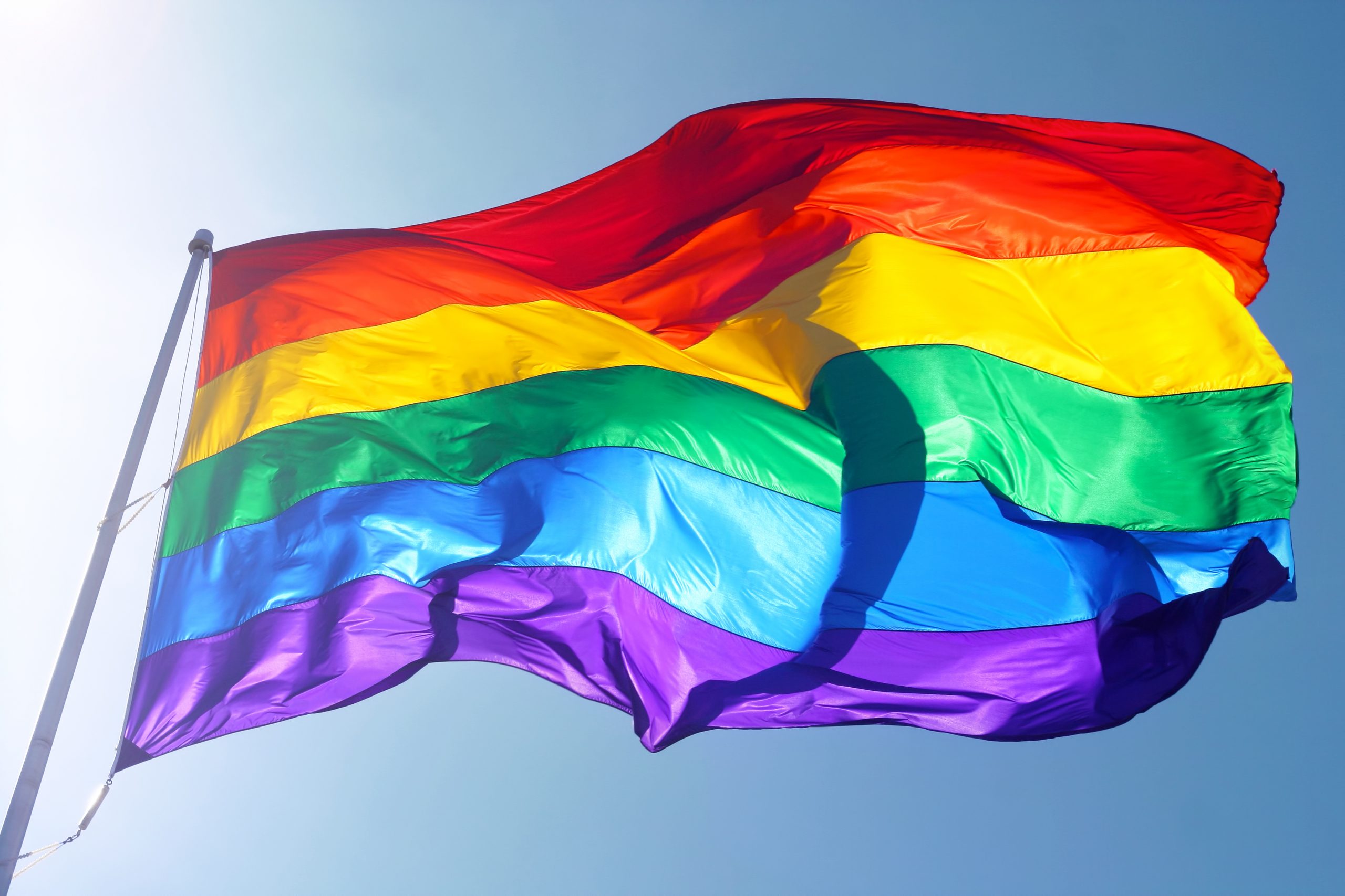 Celebrate Pride Month with Fertility Source Companies